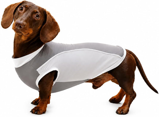 Dachshund Sleeveless Cooling Shirt, Dog Sun Protection T-Shirt, Breathable Lightweight Dog Vest, UV Protection Dog Shirt, Summer Dog Apparel (Grey, Small)