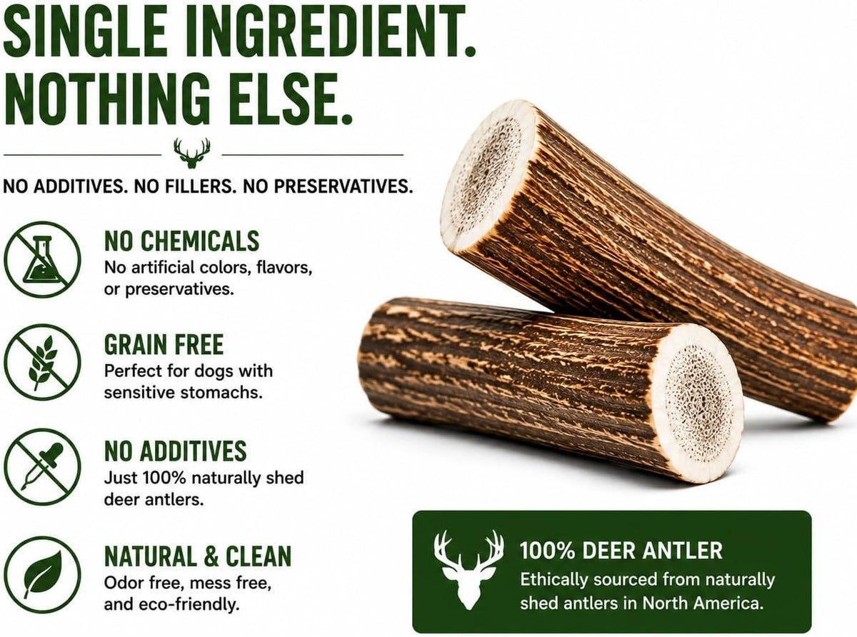 Premium Deer Antler Pieces - Dog Chews - Antlers by the Pound, One Pound - Six Inches or Longer - Medium, Large and XL - Happy Dog Guarantee!