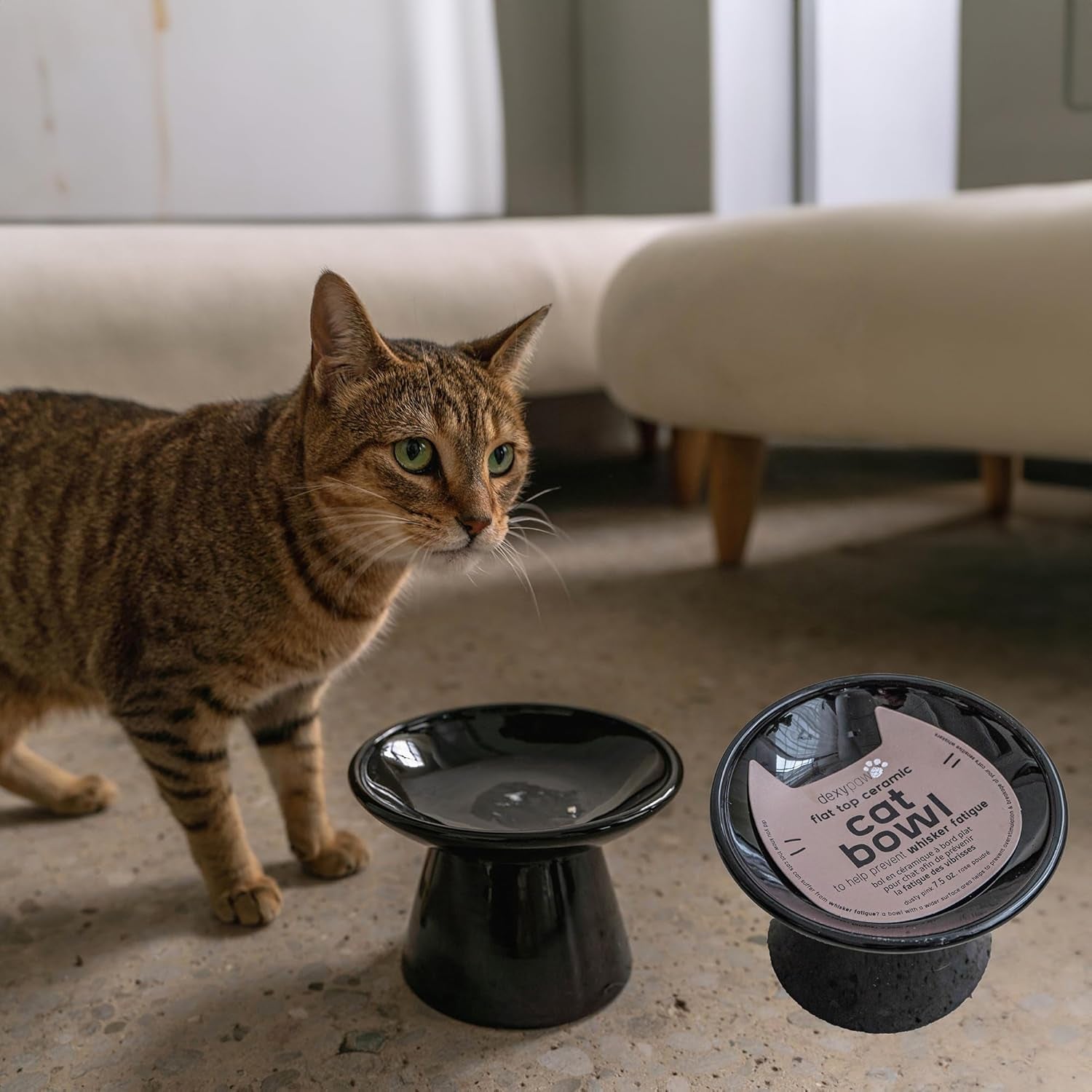 Flat Top Ceramic Bowl for Cats - Black - 7.5Oz Capacity, Stylish Pet Safe Feeding Dish, Dishwasher Safe, Food & Water, Scratch Resistant