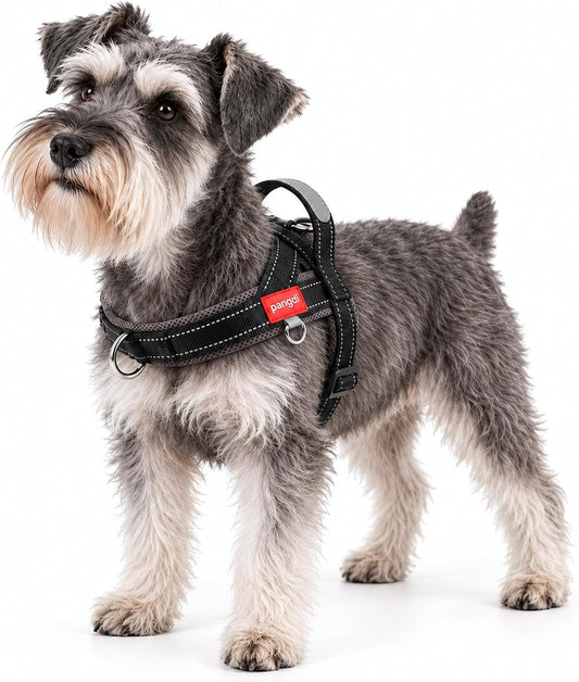 No Pull Dog Harness with Handle, Reflective Dog Vest, Black, M