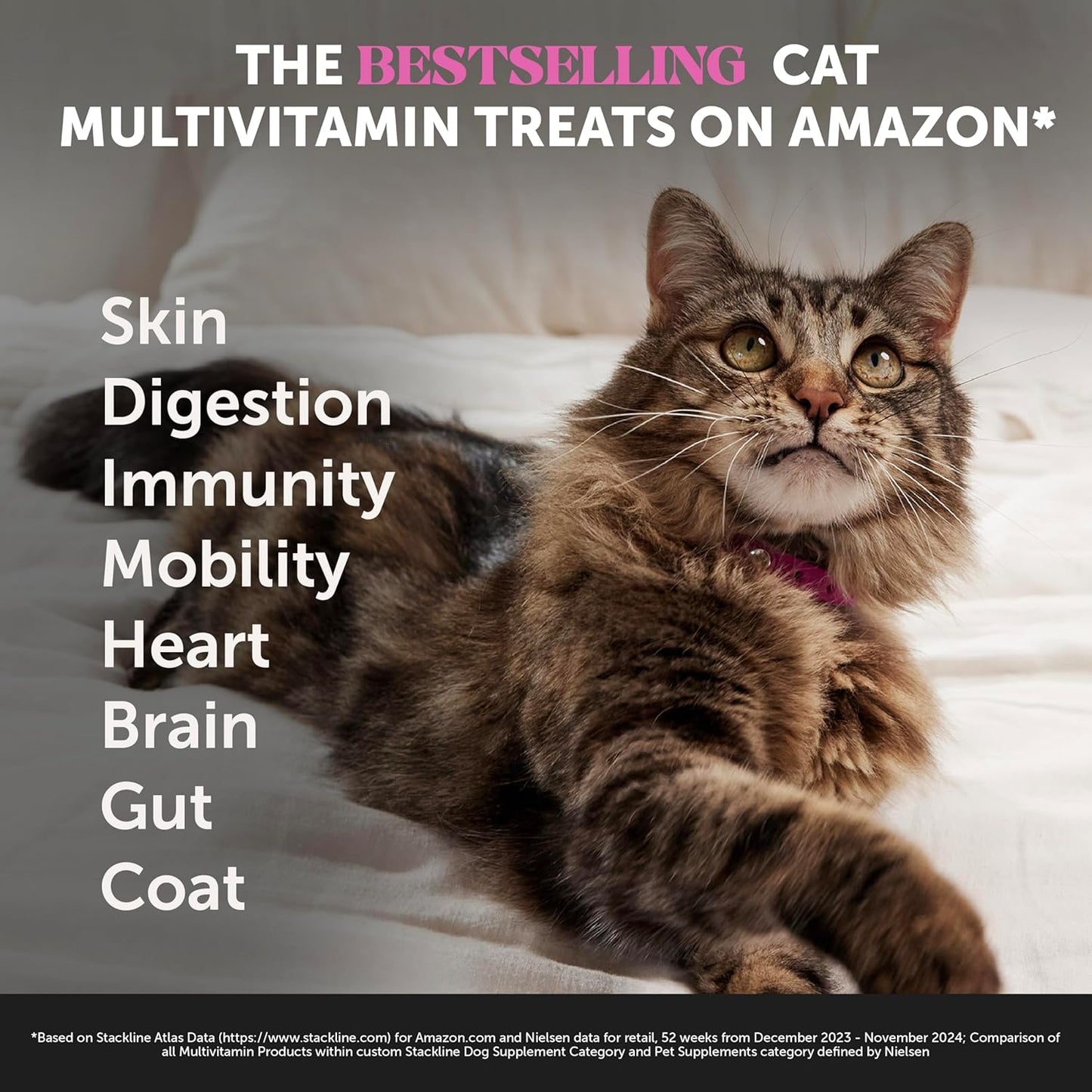 Cat Multivitamins + Immune Support Lysine Dual Texture Chew Supplement Bundle - Supports Overall Immune Health, Joints, Skin & Coat, and Cat Allergy Relief - Sneezing, Runny Nose