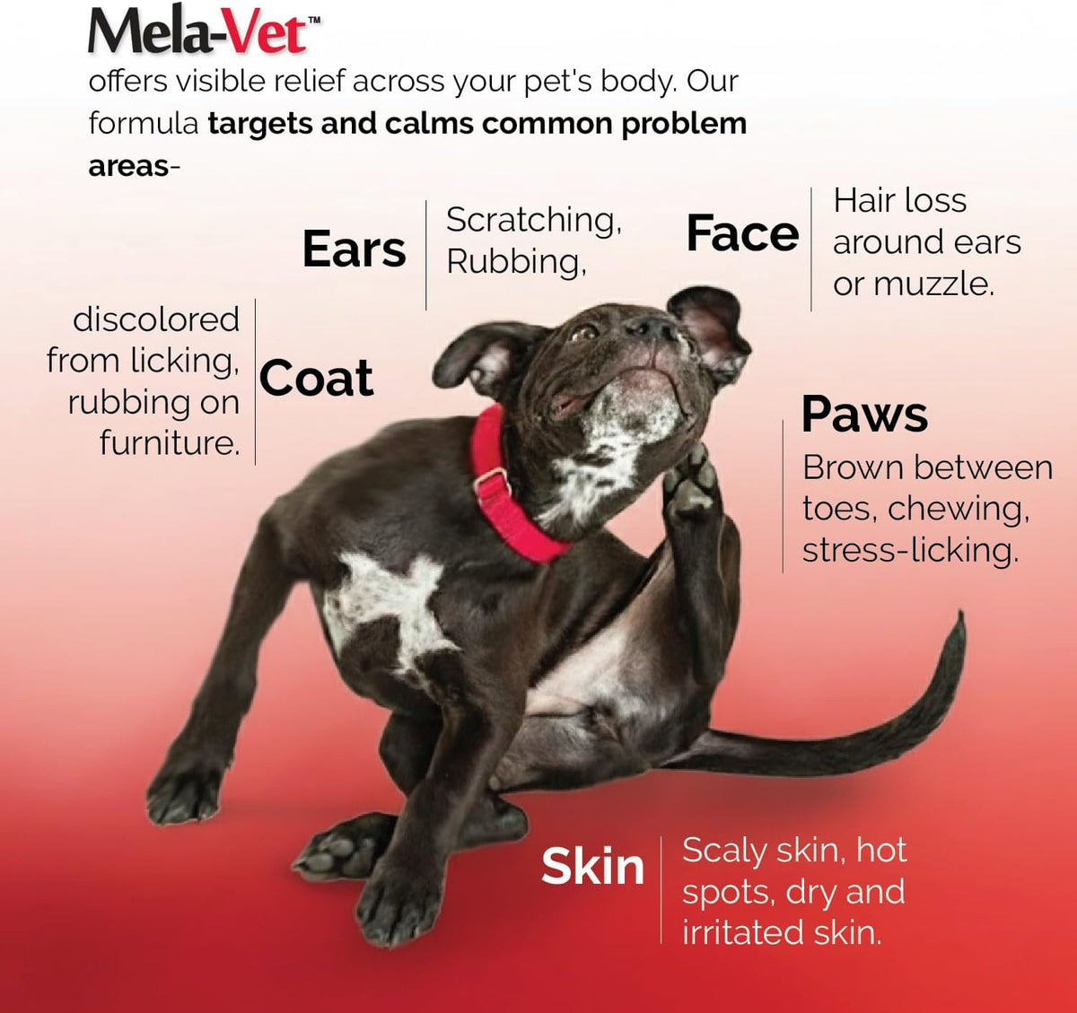 Melatonin Calming Soft Chews for Dogs – Vet-Formulated Anxiety Relief for Travel, Fireworks & Separation Stress, Helps Reduce Tension & Restlessness, Supports Healthy Skin & Coat – 120 Soft Chews