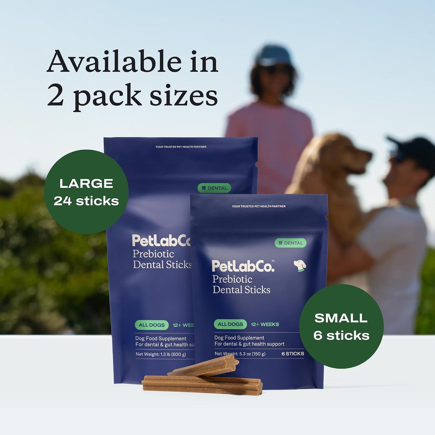 Petlab Co. Dental Sticks – Dog Dental Chews -Target Plaque & Tartar Build-Up at the Source - Designed to Maintain Your Dog’S Oral Health, Keep Breath Fresh and Provide Digestive Help (6 Sticks)