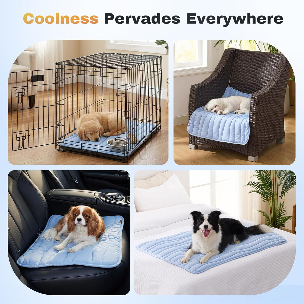 ZOMISIA Cooling Mat for Extra Large Dogs XL - Thin Portable Pet Cooling Pad, Breathable and Washable Cool Fiber with Non-Slip Bottom, Outdoor Use for Summer, 44X32, Blue