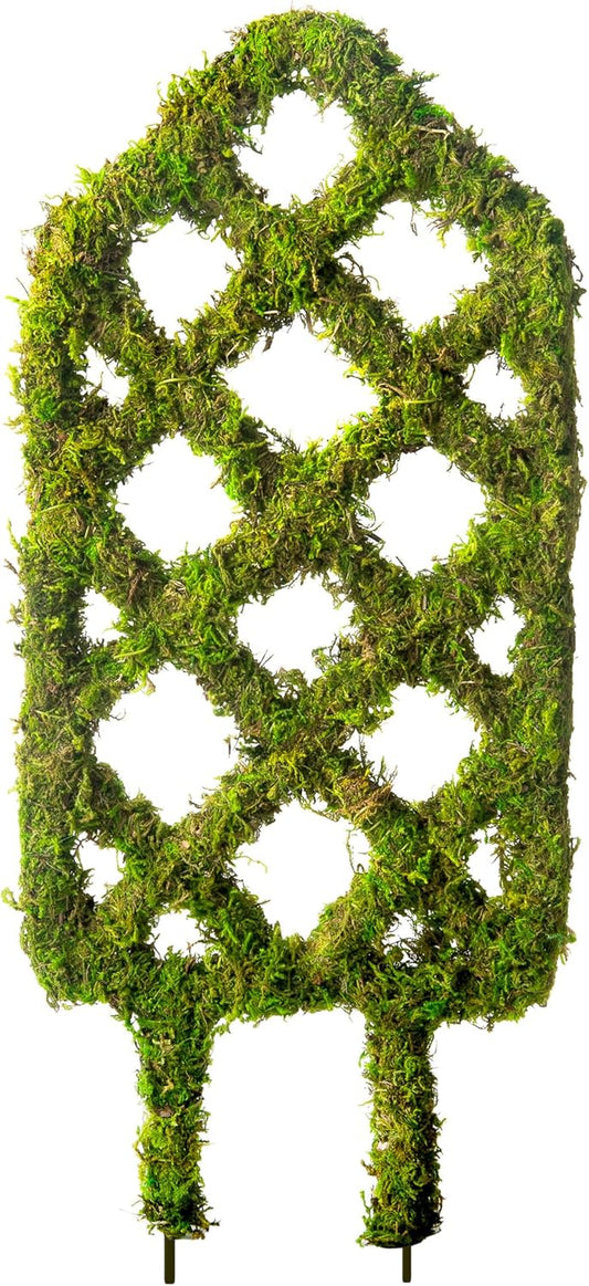 Supermoss Plant Trellis - Decorative Garden Trellis for Climbing Plants Indoor & Outdoor | Moss-Covered Plant Support for Raised Garden Bed, Patio, Planters, and Garden Decor, Mini 17" X 6.5", Diamond