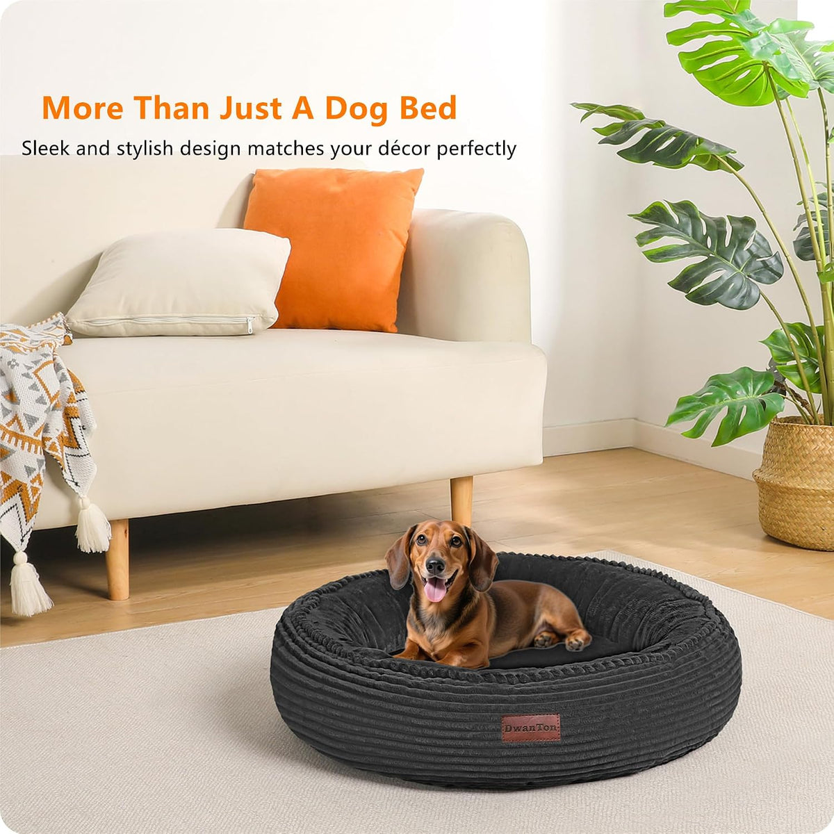 Dwanton Orthopedic Small Dount Dog Bed Cat Bed, Calming Egg-Crate Foam, 24"