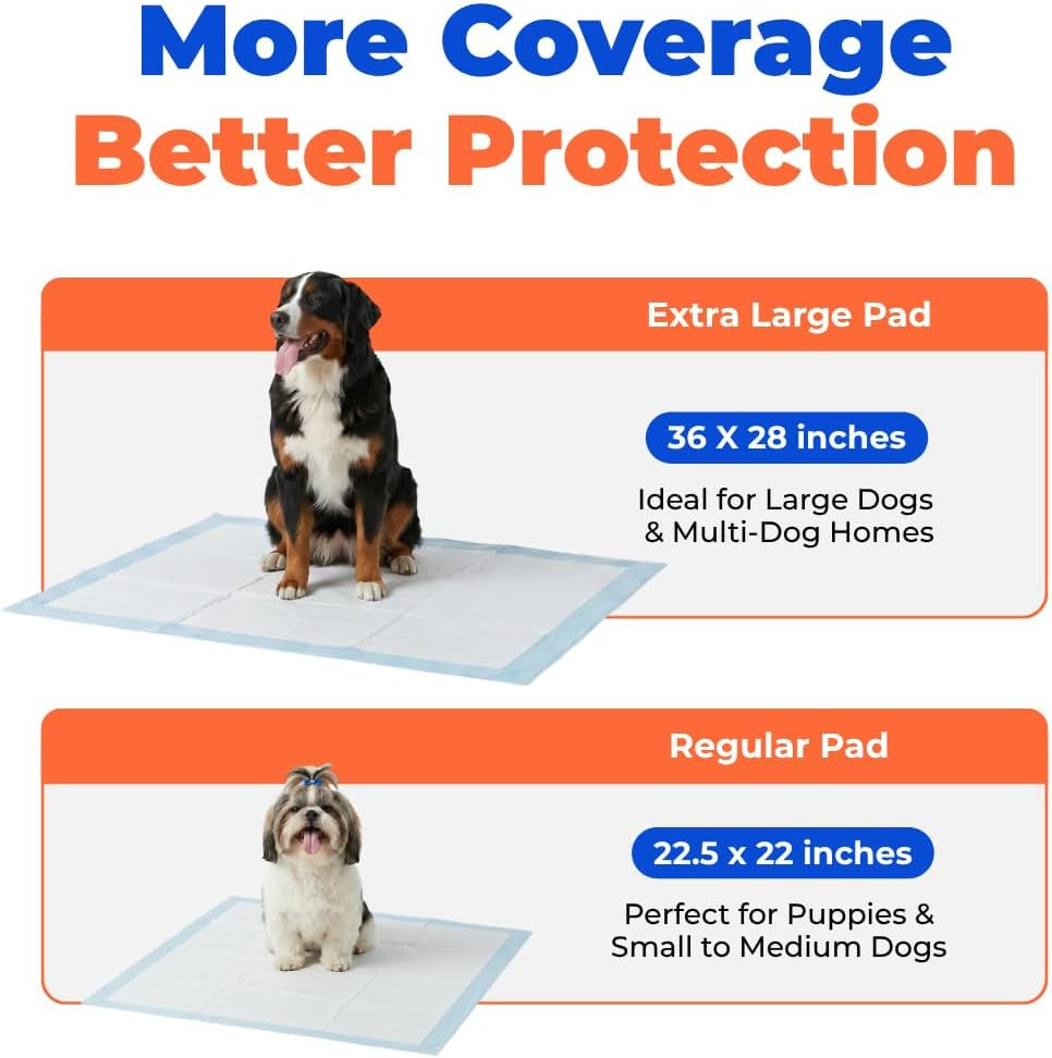 Best Pet Supplies Puppy Pads (22.5 X 22 Inches) - Disposable, Dog Training Potty, Super Absorbent Baby Blue Puppy Pee Pads for Dogs (100 Count)