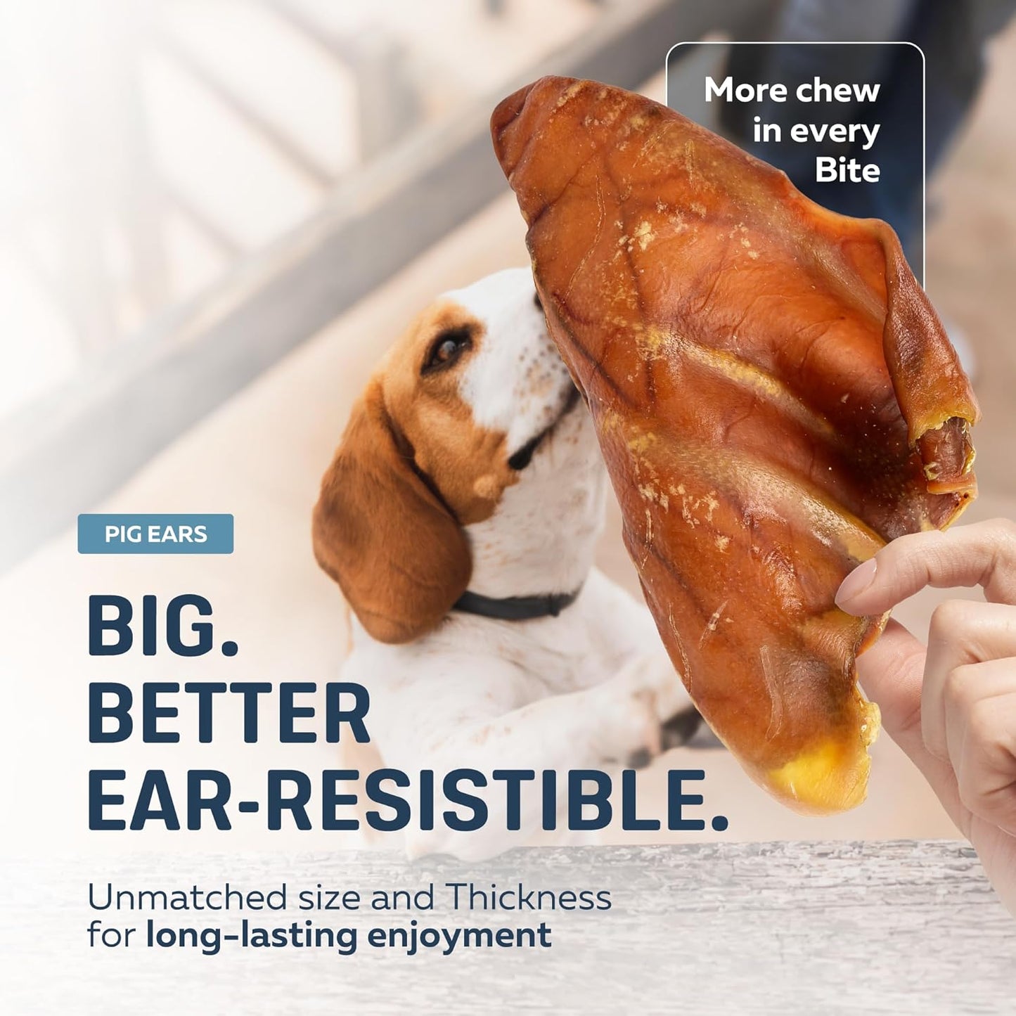 Big Lu – Whole Pig Ears for Dogs, 12 Count, All-Natural Single-Ingredient Pork Treats for Medium and Large Dogs, Easily Digestible, Long-Lasting, Supports Joint Health with Glucosamine and Chondroitin