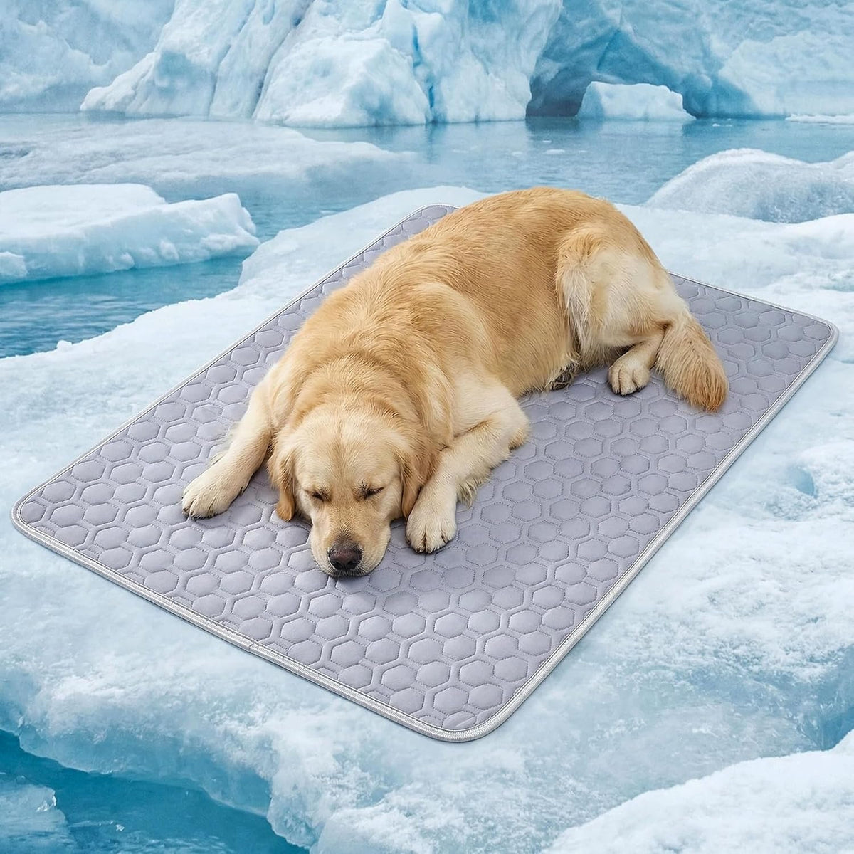 HAOMAIJIA Pet Cooling Mat for Dogs Thick Soft Washable Dog Cooling Mat Indoor Upgrade Waterproof Non-Slip Self Cooling Pad for Dog and Cat (Grey, 26'' X 36'' Large)