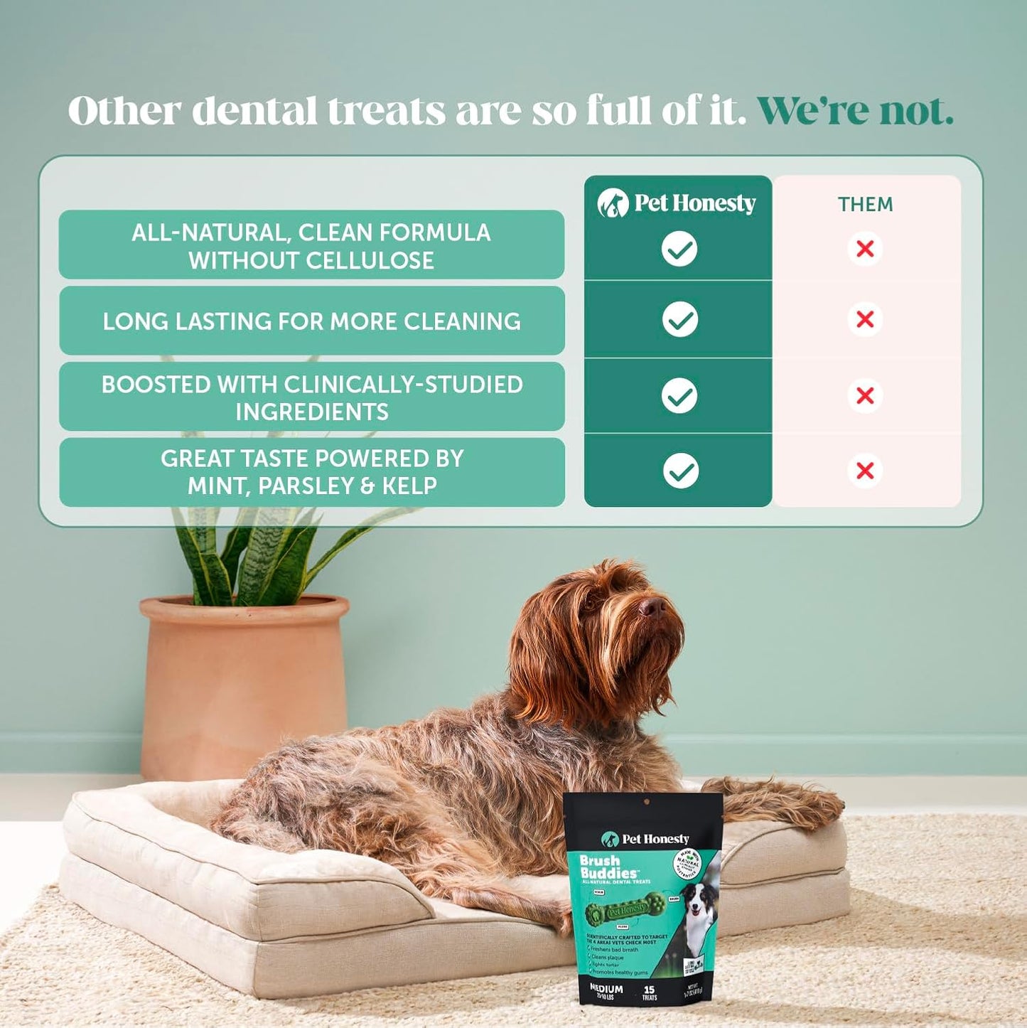 Pet Honesty Brush Buddies All Natural Dog Dental Treats for Dogs – Long Lasting Dental Sticks for Dogs, Teeth Cleaner, Breath Freshener, Plaque & Tartar Remover – Medium Sized Dogs (15 Count)