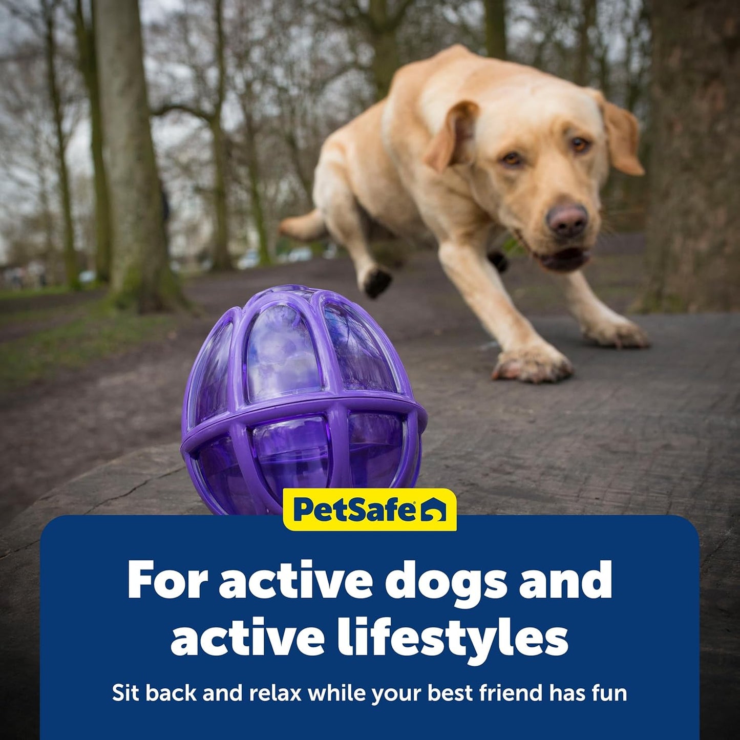 Petsafe Busy Buddy Kibble Nibble - Dog Toy - Treat and Food Dispenser - Slow Feeder - Medium/Large