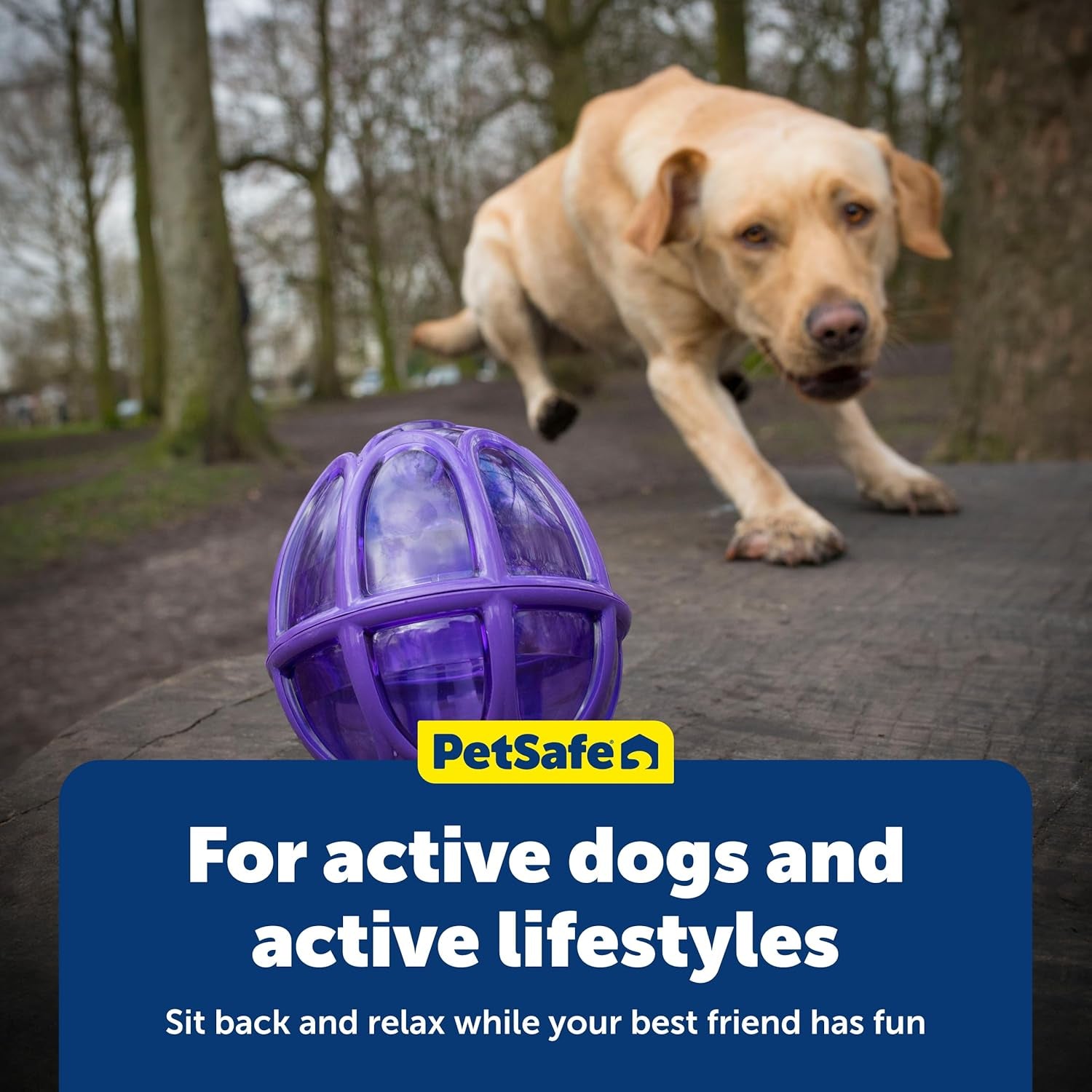 Petsafe Busy Buddy Kibble Nibble - Dog Toy - Treat and Food Dispenser - Slow Feeder - Medium/Large