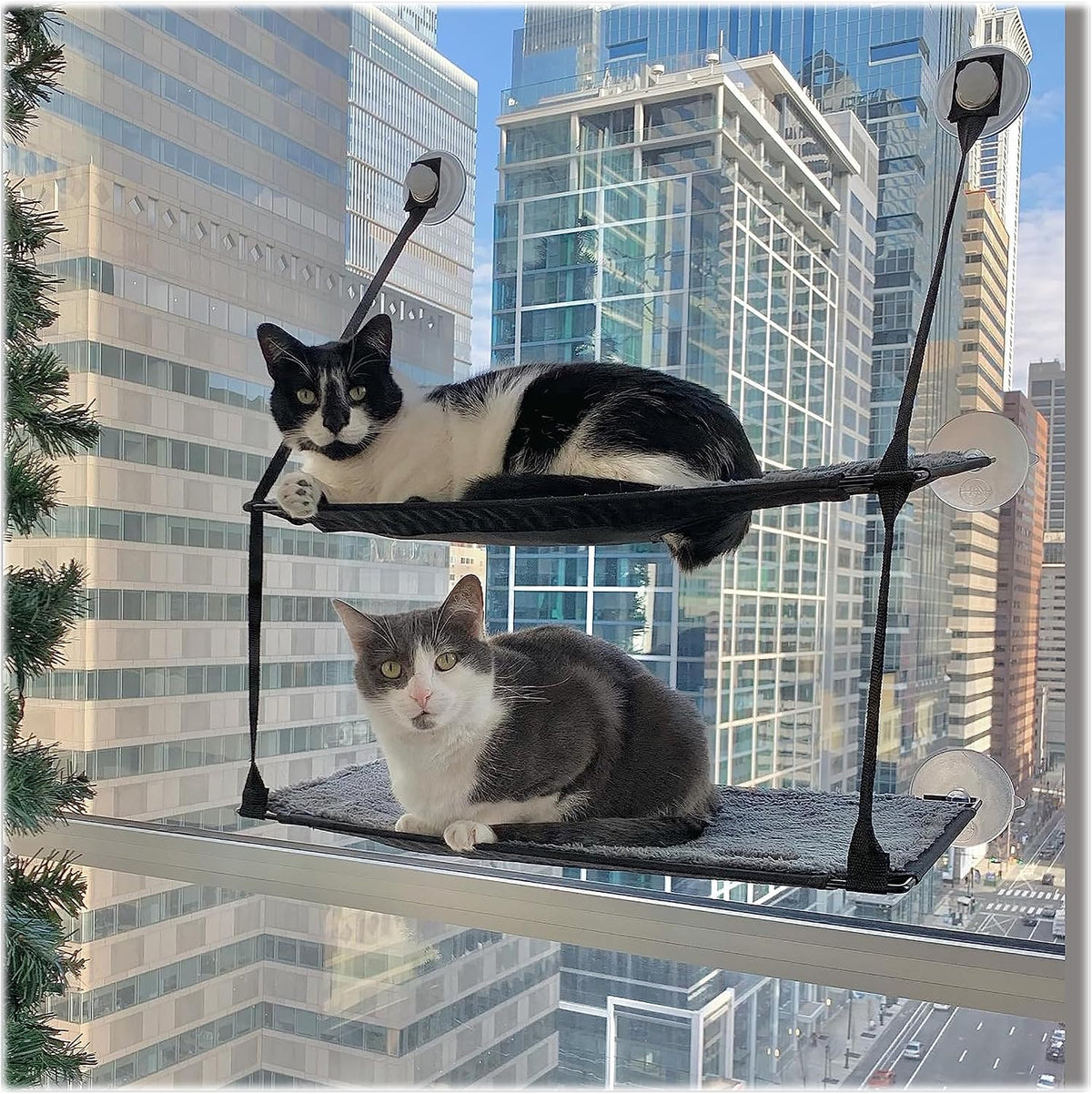 K&H Cat Window Perch, EZ Mount Double Stack Kitty Sill for Large Cats, Gray