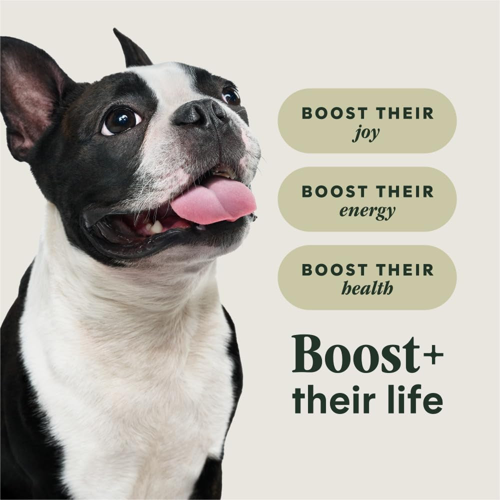 Instinct Rawboost Small Breed, Natural Dry Dog Food with Freeze-Dried Pieces, High Protein, Grain-Free Recipe - Real Chicken, 3.5 Lb. Bag