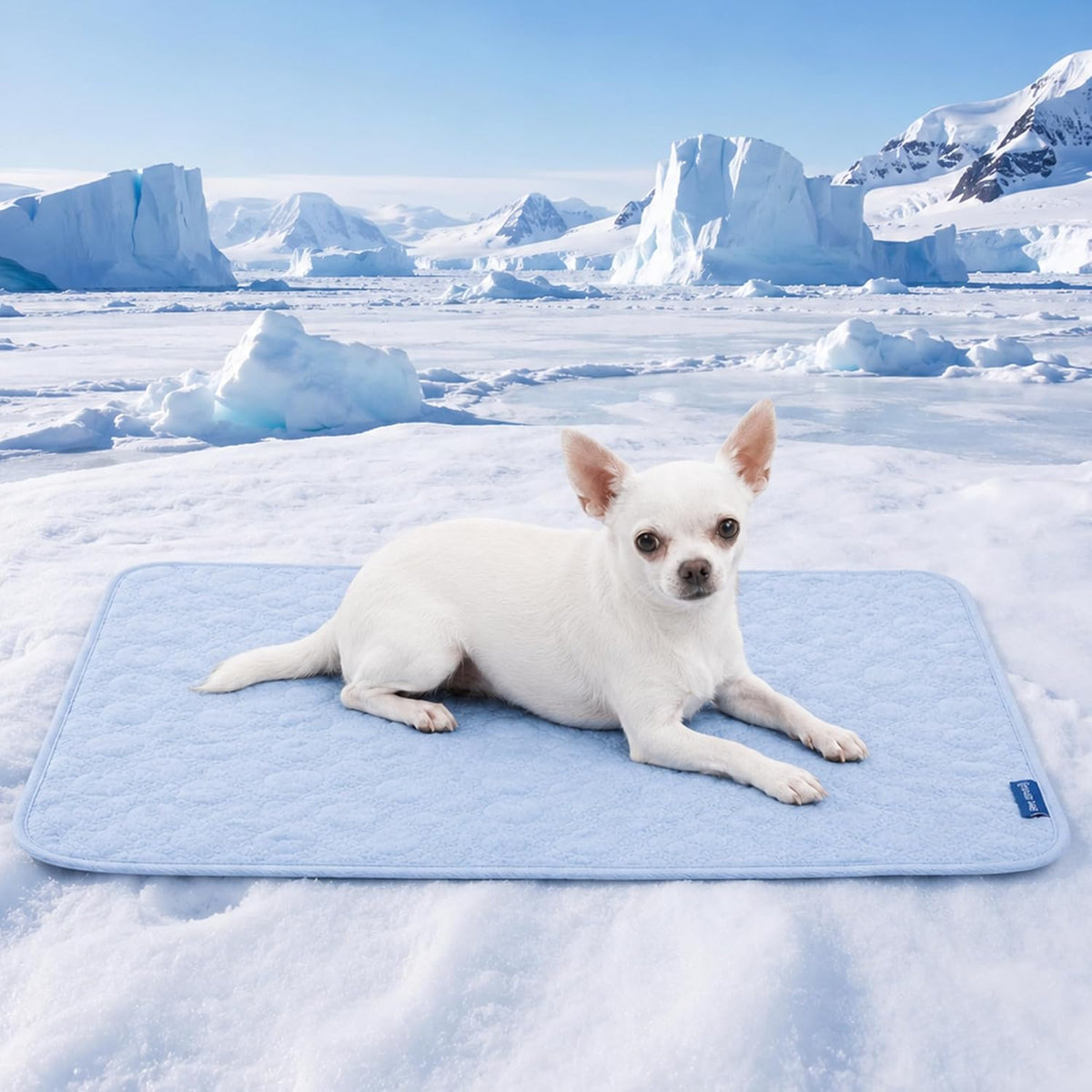 Spark Paws Frostcore Dog Cooling Mat - Non Gel Self Cooling Pet Pad