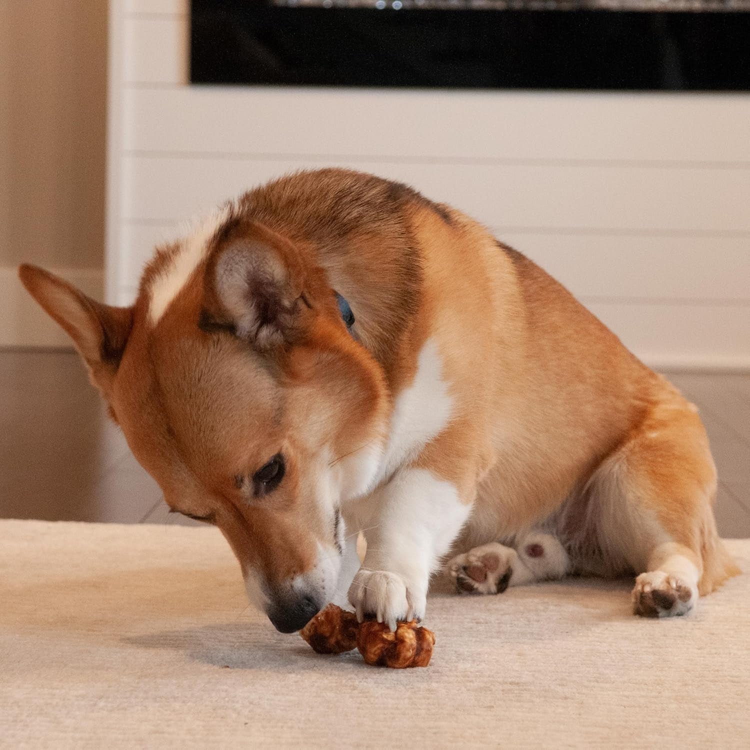 Nothin' to Hide Collagen-Based Dog Chews Small Knotted Bones, Beef Flavor, Easily Digestible, Supports Skin, Coat, Joints & Muscles, for Moderate Chewers under 15Lbs, 4In, 3 Pieces