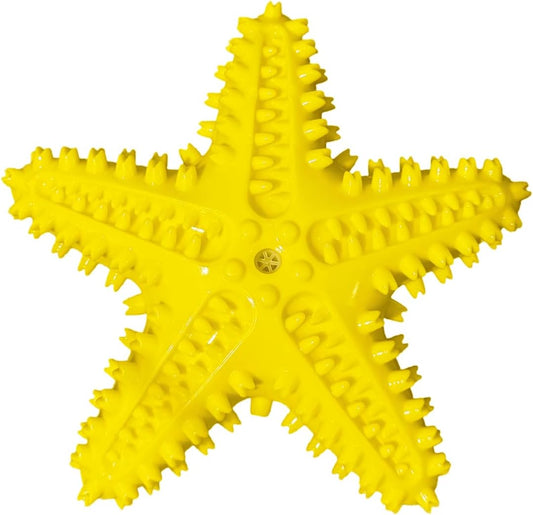 Squeaky Starfish Dog Toy