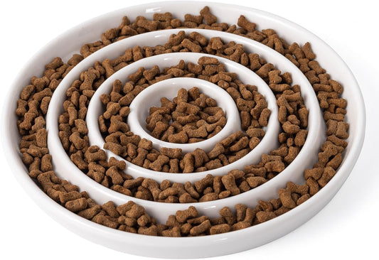 Ceramic Cat Slow Feeder,Shallow and Wide Opening Dish for Whisker Friendly