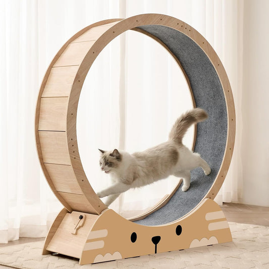 RRPETHOME 45" Cat Wheels for Indoor Cats, Quiet & Stable Cat Exercise Running Wheel, Cats Treadmill with Anti-Slip Mat
