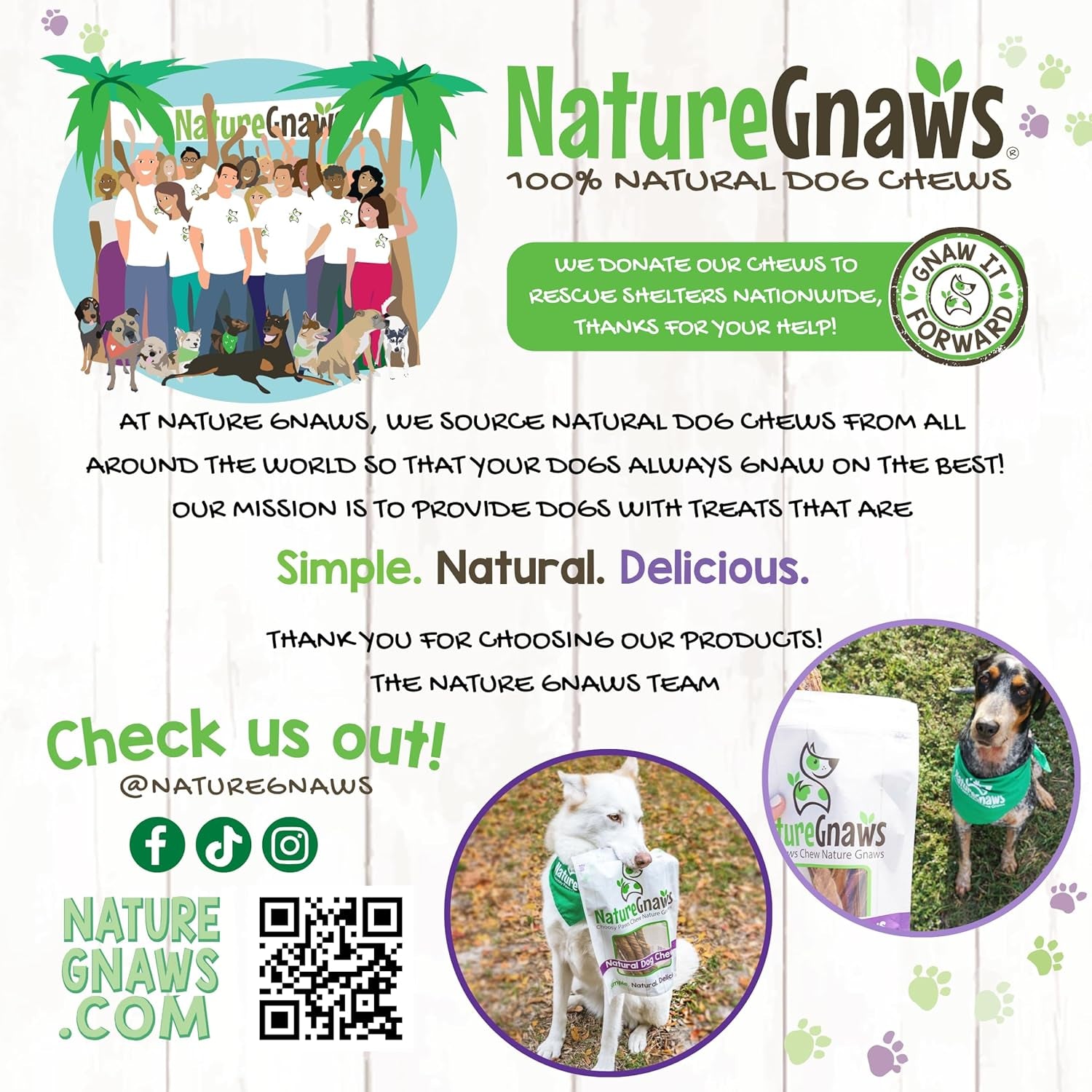 Nature Gnaws Extra Thin Bully Sticks for Small Dogs 5-6" (10 Count) - Long Lasting for Light Chewers and Puppies - Natural Beef Dog Chew Bones