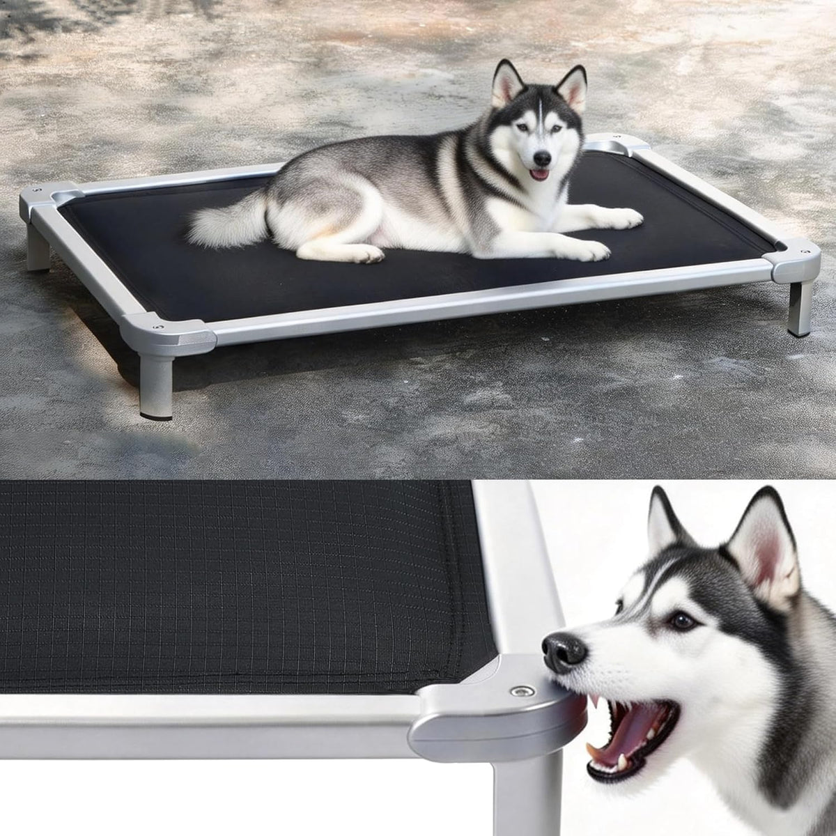 Senneny Chew Proof Elevated Dog Bed Medium Sized Dog, Raised Cot for Indoor Outdoor Camping, Heavy-Duty Chew Resistant Hidden Fabric Indestructible Dog Bed, M, 42" L X 27" W X 6" H