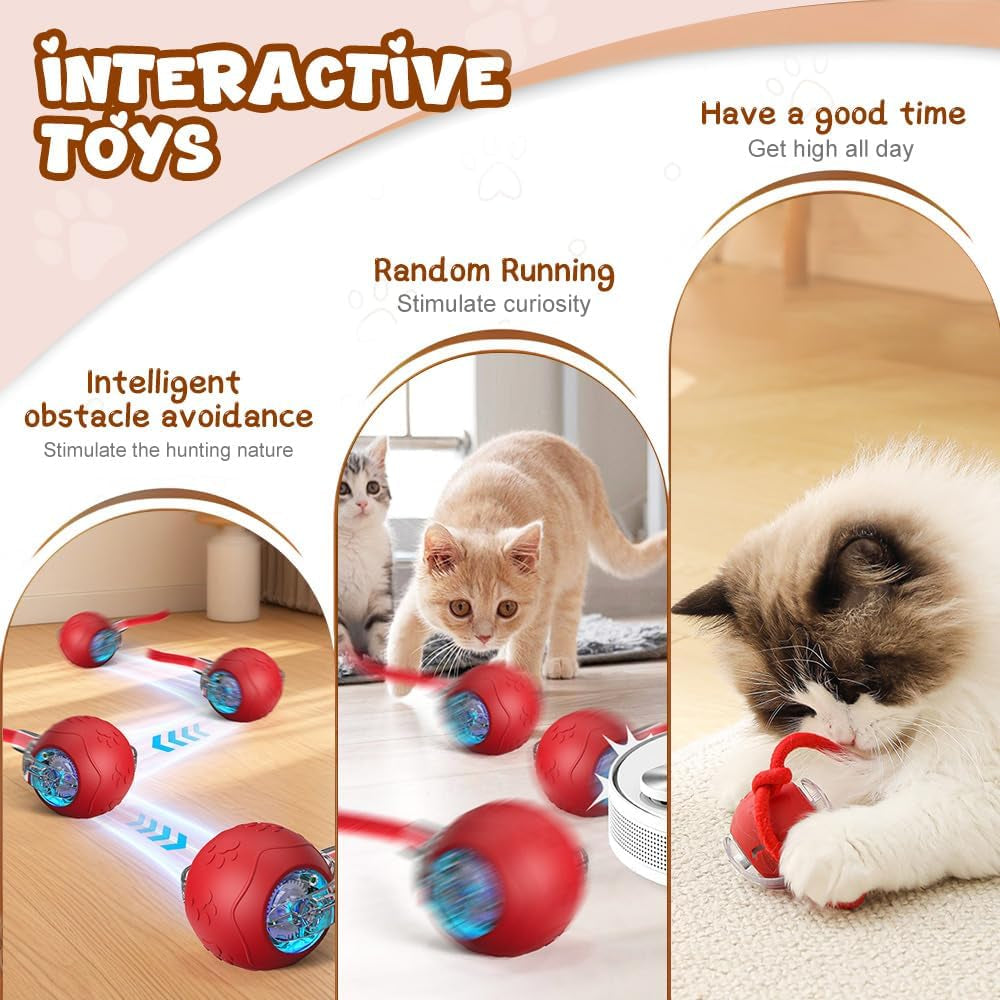 Interactive Cat Toy Ball, 2026 New Interactive Dog Toy, Automatic Moving Dog Ball, Portable Dog Ball Toys with Rope Handle for Indoor Floors, Smart Rolling Ball for Puppies for Small Dogs (Red)