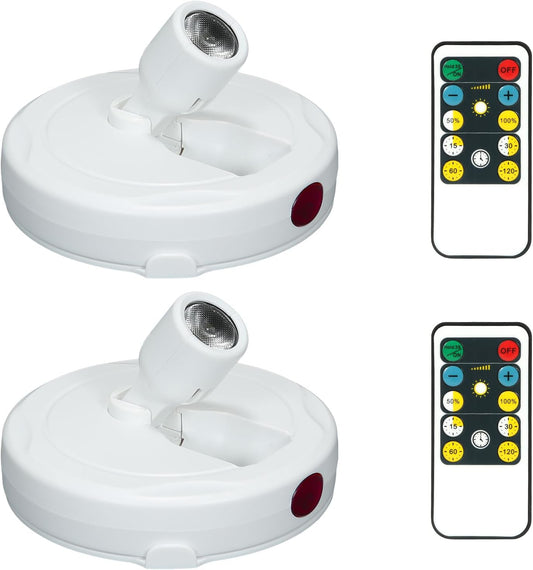 Cordless Spotlight Battery Powered, Plant Accent Lighting with Remote