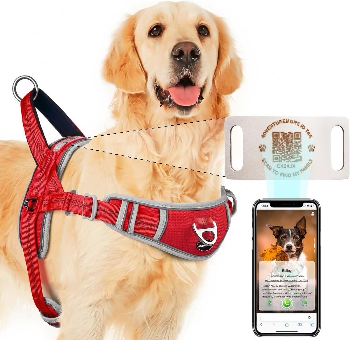 ADVENTUREMORE Small Dog No Pull Harness with QR Code Tag, Adjustable Reflective Vest, Front Clip Handle for Training Walking XXL Rose Red
