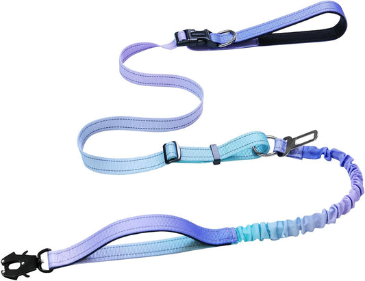 Heavy Duty Hands Free Dog Leash with Quick Release Carabiner and Adjustable No Pull Bungee Dog Running Waist Leash，For Walking and Training with Car Seat Belt 4-6FT (Aurora Purple)