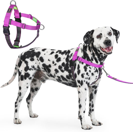 Freedom No Pull Dog Harness for Large Dogs, Purple, Xlarge