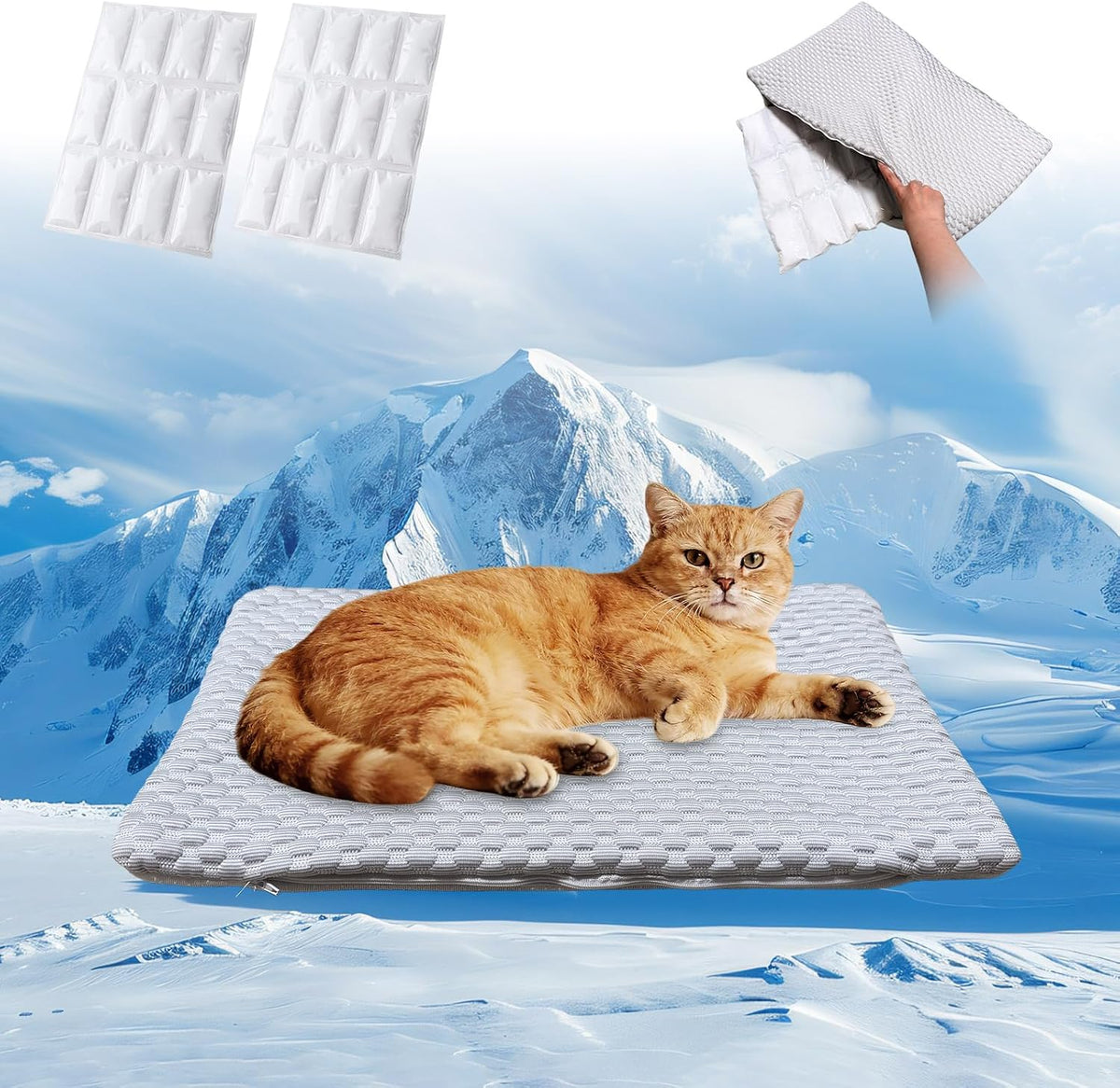 2-In-1 Cooling Pet Mat & Crate Pad for under 8Lbs Cats, 20"X12", S