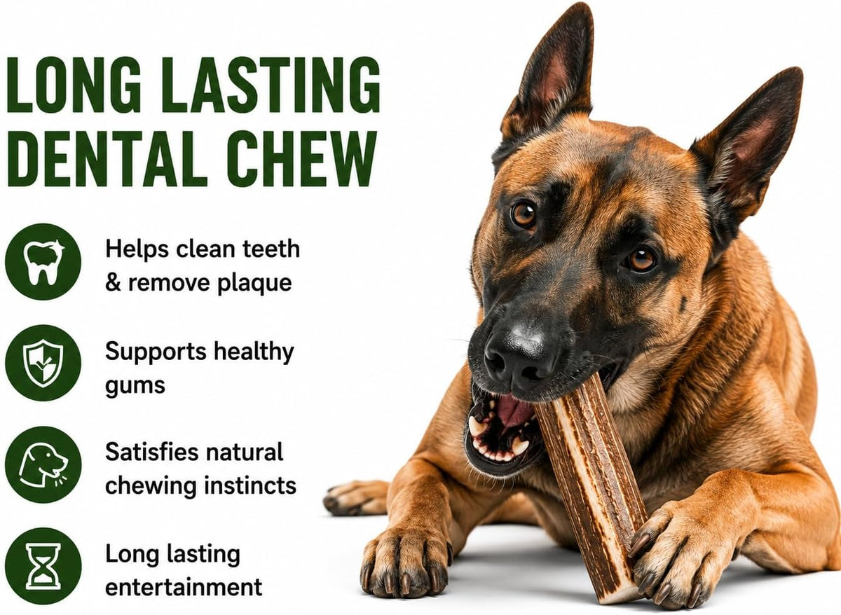 Premium Deer Antler Pieces - Dog Chews - Antlers by the Pound, One Pound - Six Inches or Longer - Medium, Large and XL - Happy Dog Guarantee!
