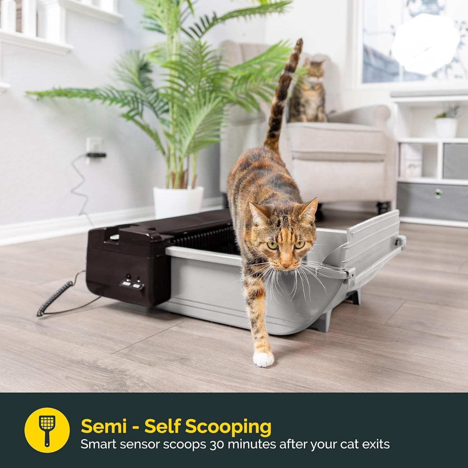 Pet Zone Semi - Self Cleaning Semi Automatic Cat Litter Box - Smart Scoop Cat Litter Box with 6 Bags & Carbon Filter for up to Two Cats 6-16 Pounds