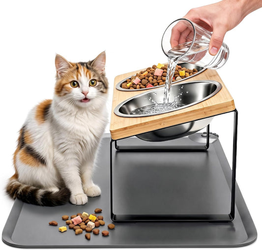 Elevated Tilted Cat Food Bowls with Mat, 304 Stainless Steel 2 Water Bowls