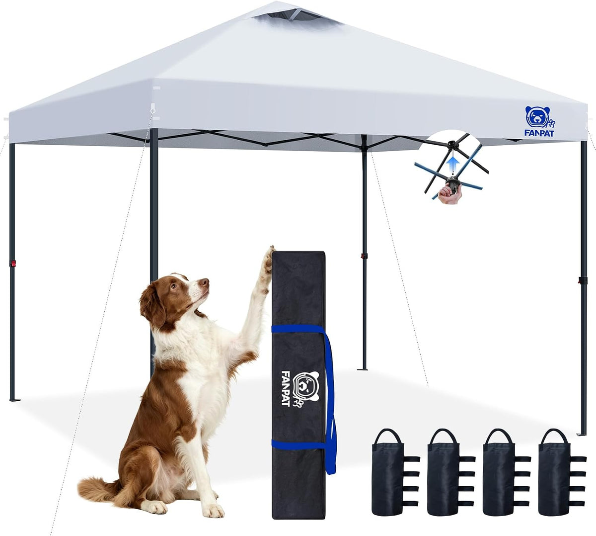 FANPAT 10X10 Pop up Canopy Tent, Instant Portable Shelter, White 10X10