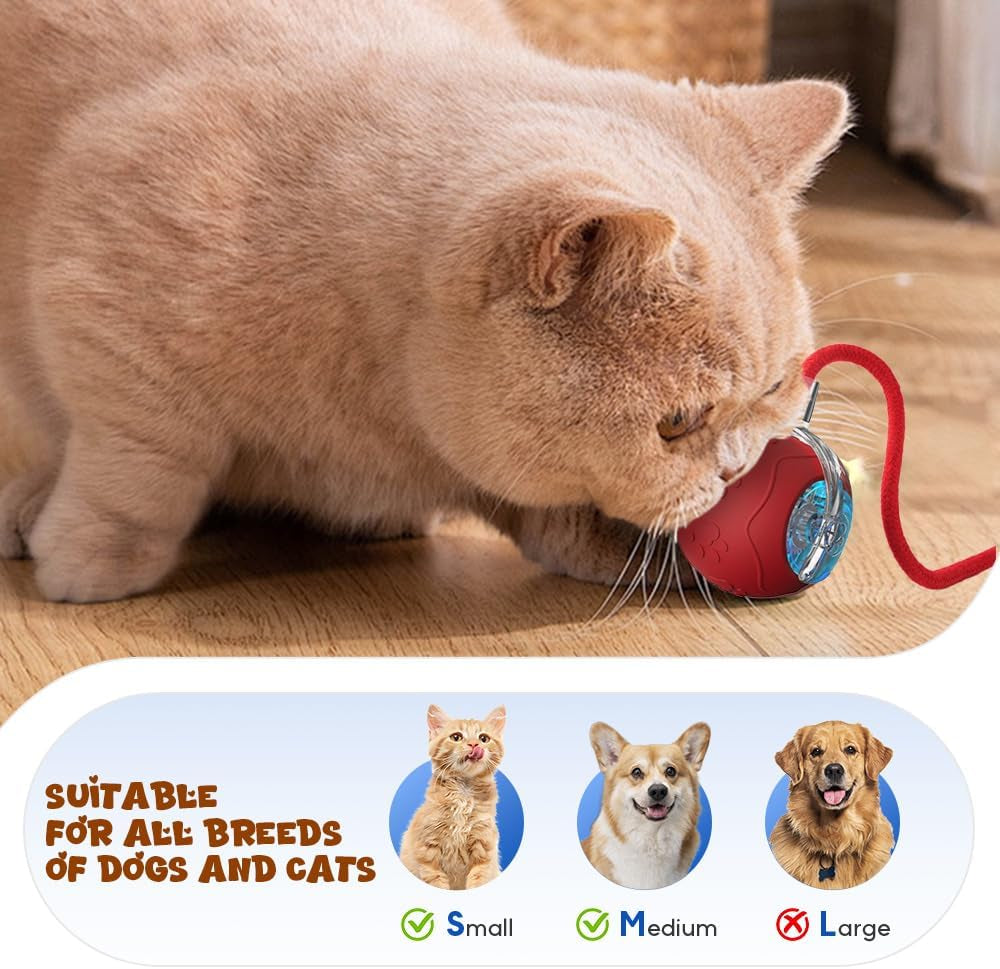 Interactive Cat Toy Ball, 2026 New Interactive Dog Toy, Automatic Moving Dog Ball, Portable Dog Ball Toys with Rope Handle for Indoor Floors, Smart Rolling Ball for Puppies for Small Dogs (Red)