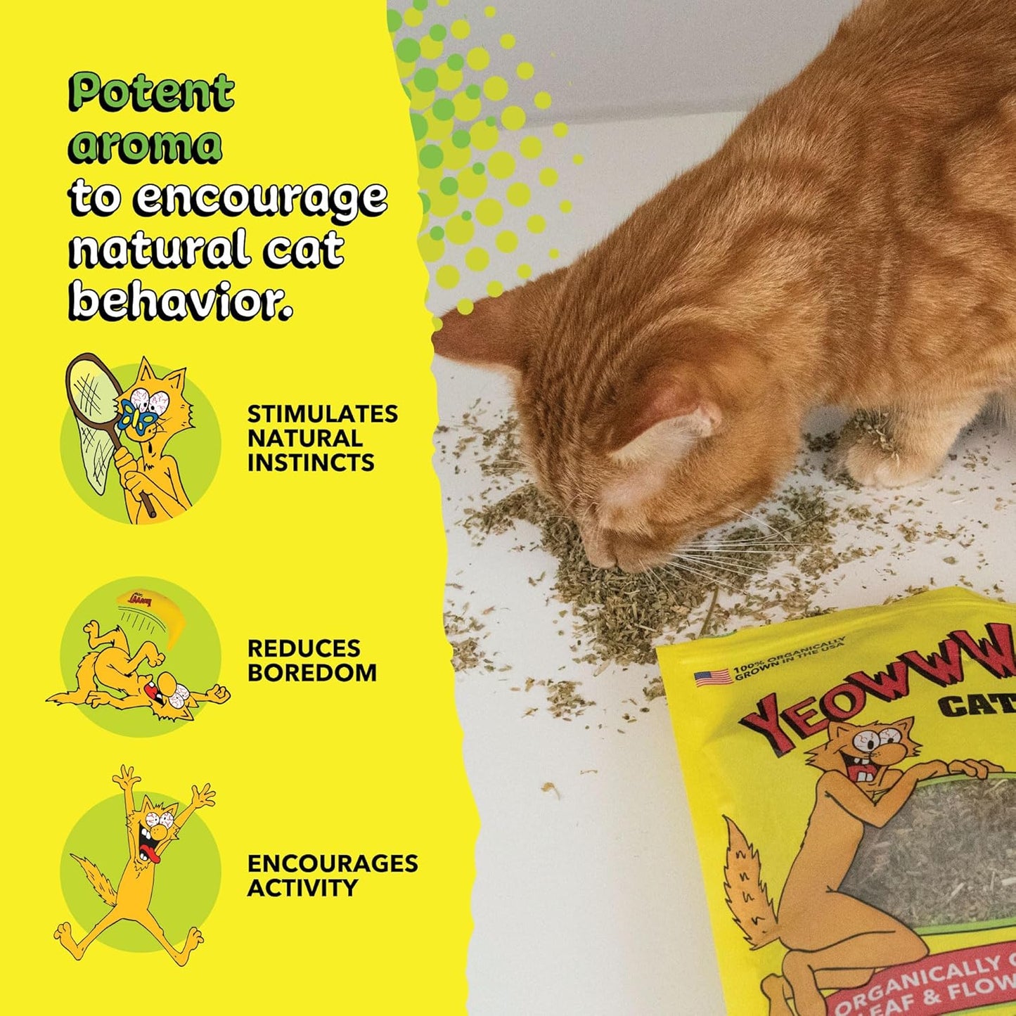 Yeowww! Organically Grown Catnip for Cats - 2Oz Pouch - Premium Leaves & Flower Tops - No Fillers - Chemical-Free - Grown in the USA