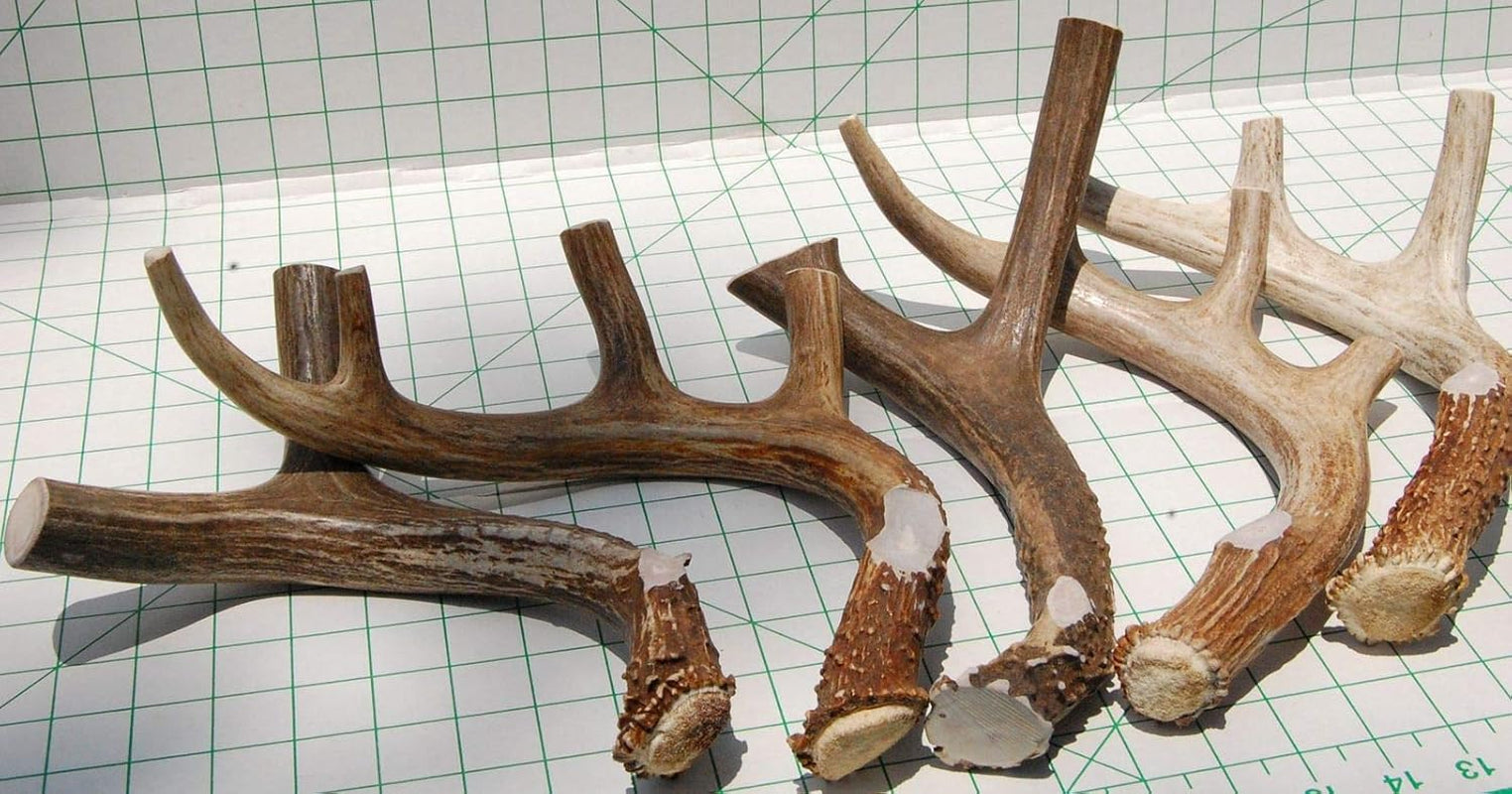 XL Deer Antler Dog Chew - Extra Large, Jumbo, for Large Dogs and Puppies Who Are Aggressive Chewers