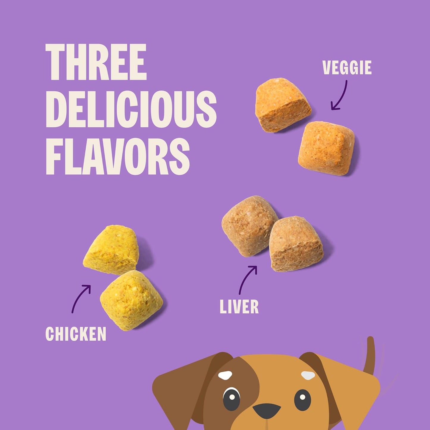Wellness Old Mother Hubbard Training Bitz Assorted Mix Dog Treats, Natural Biscuits, 3 Flavors, 8 Oz Bag