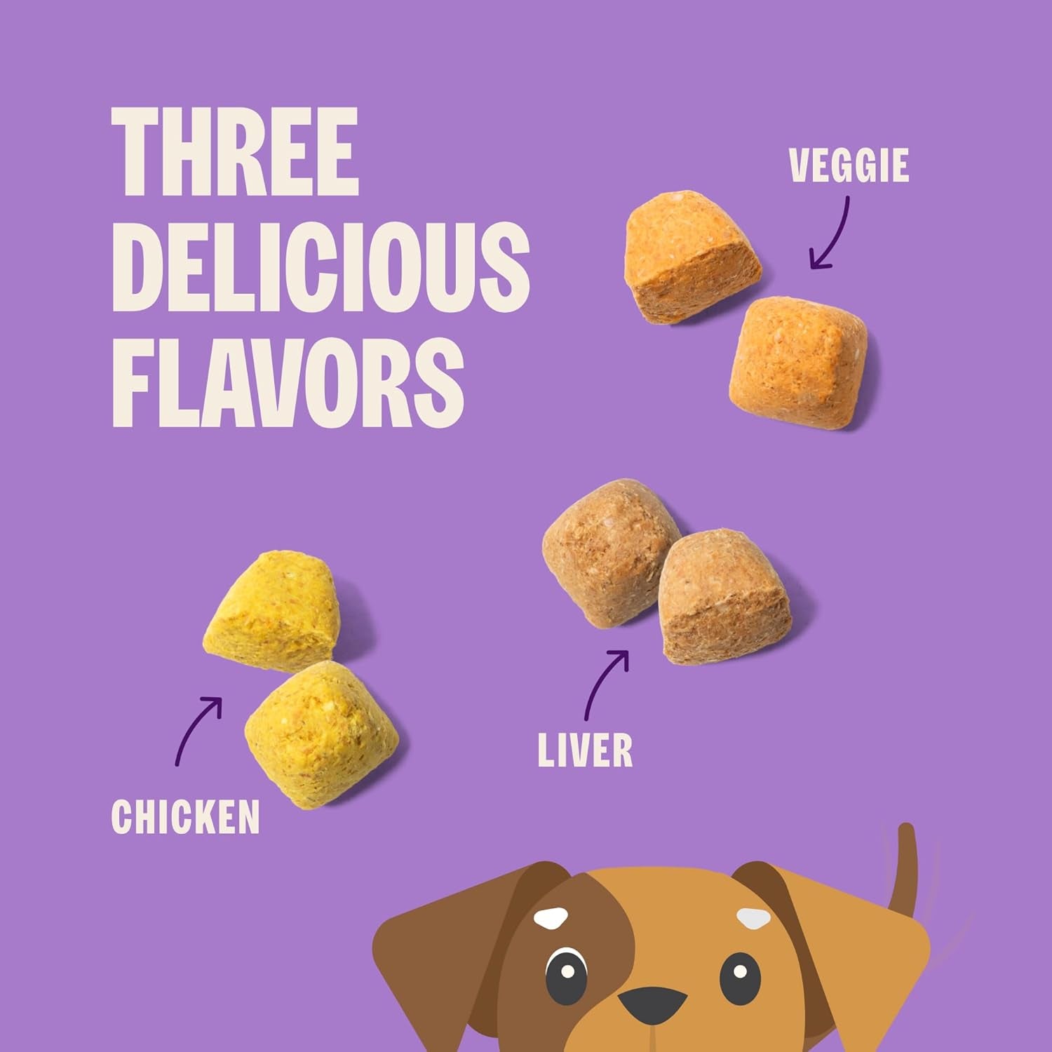 Wellness Old Mother Hubbard Training Bitz Assorted Mix Dog Treats, Natural Biscuits, 3 Flavors, 8 Oz Bag