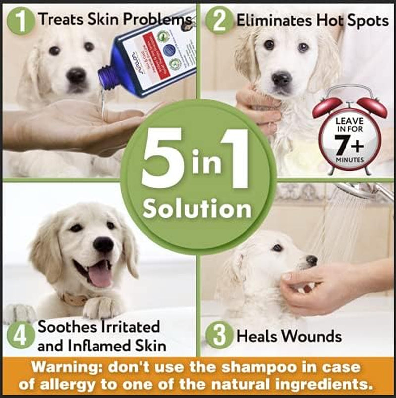 Arava Natural Medicated Dog Shampoo – anti Yeast anti Itch Dog Shampoo - Healthy Skin & Coat - First Aid in Hot Spots Ringworm Scrapes Abrasions & Dermatologic Infections - 400Ml / 13.5 Fl Oz