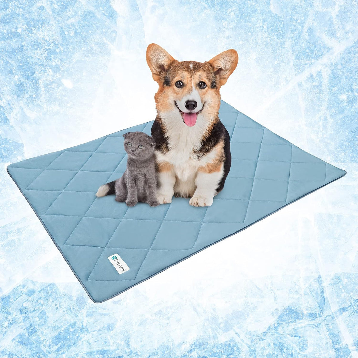 Petami Cooling Dog Blanket Lightweight Soft for Medium Pet Cat, 29X40 Blue