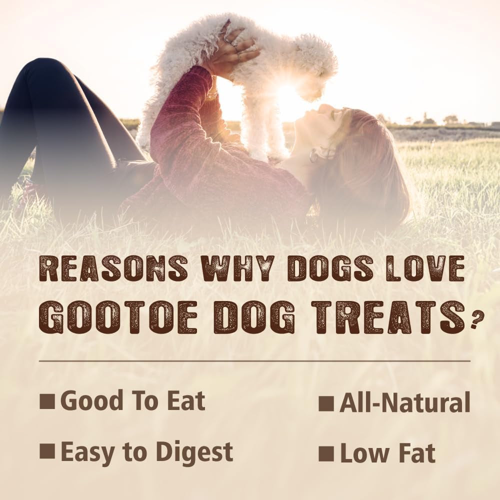 Gootoe Dog Treats, Chicken Jerky for Dogs - Dog Training Treats; High-Protein, Gluten-Free, Hypoallergenic, Grain-Free, Chicken Breast, 1 Lb