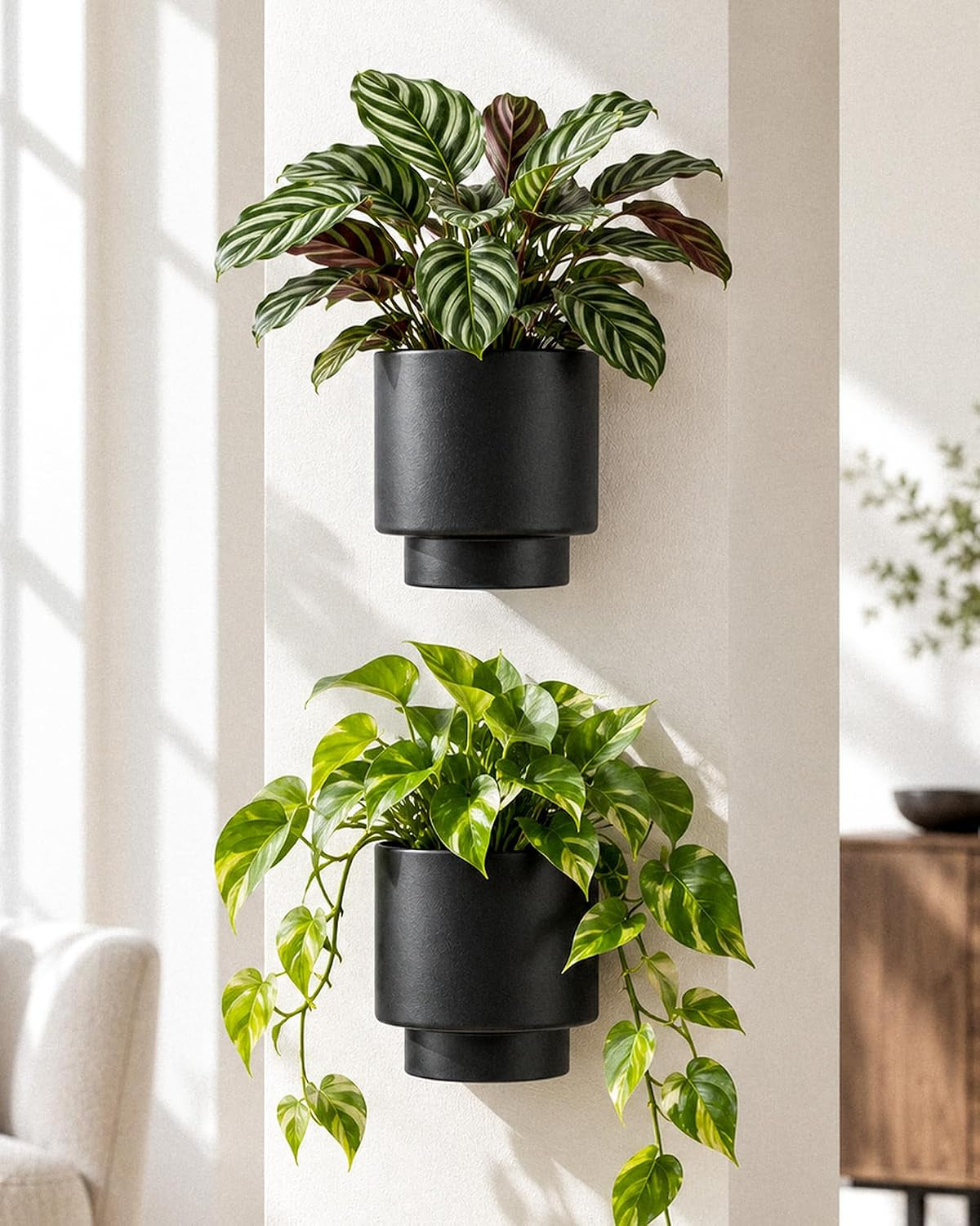 Bamworld 6In Metal Wall Planters with Drainage Holes and Saucer