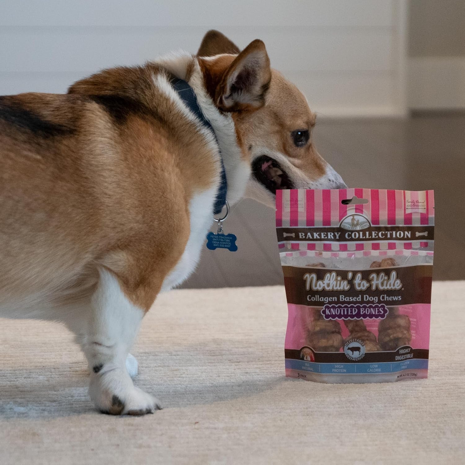 Nothin' to Hide Collagen-Based Dog Chews Small Knotted Bones, Beef Flavor, Easily Digestible, Supports Skin, Coat, Joints & Muscles, for Moderate Chewers under 15Lbs, 4In, 3 Pieces