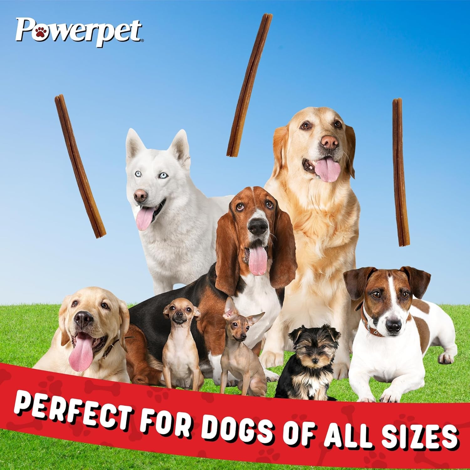 Powerpet 100% Natural Bully Stick - High Protein, Low Fat, Healthy Dog Treats, Long-Lasting Dog Chews, Easily Digestible, Cleans Teeth, Low Odor, for All Breeds & Sizes, 12" - 5 Count
