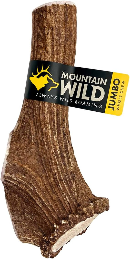 MOUNTAIN WILD Whole Elk Antler Dog Chews - Aggressive Chewers, Jumbo