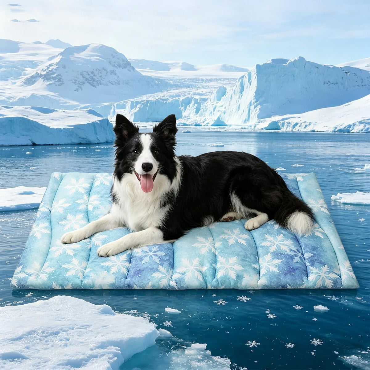 KOOLTAIL Dog Cooling Mat, Extra Thick Large Cooling Bed for Dogs and Cats Summer Indoor/Outdoor, 48"*28" Reversible Washable Pet Pad with Chill Cool Fiber, Non-Toxic Portable Blanket for Kennel, Blue