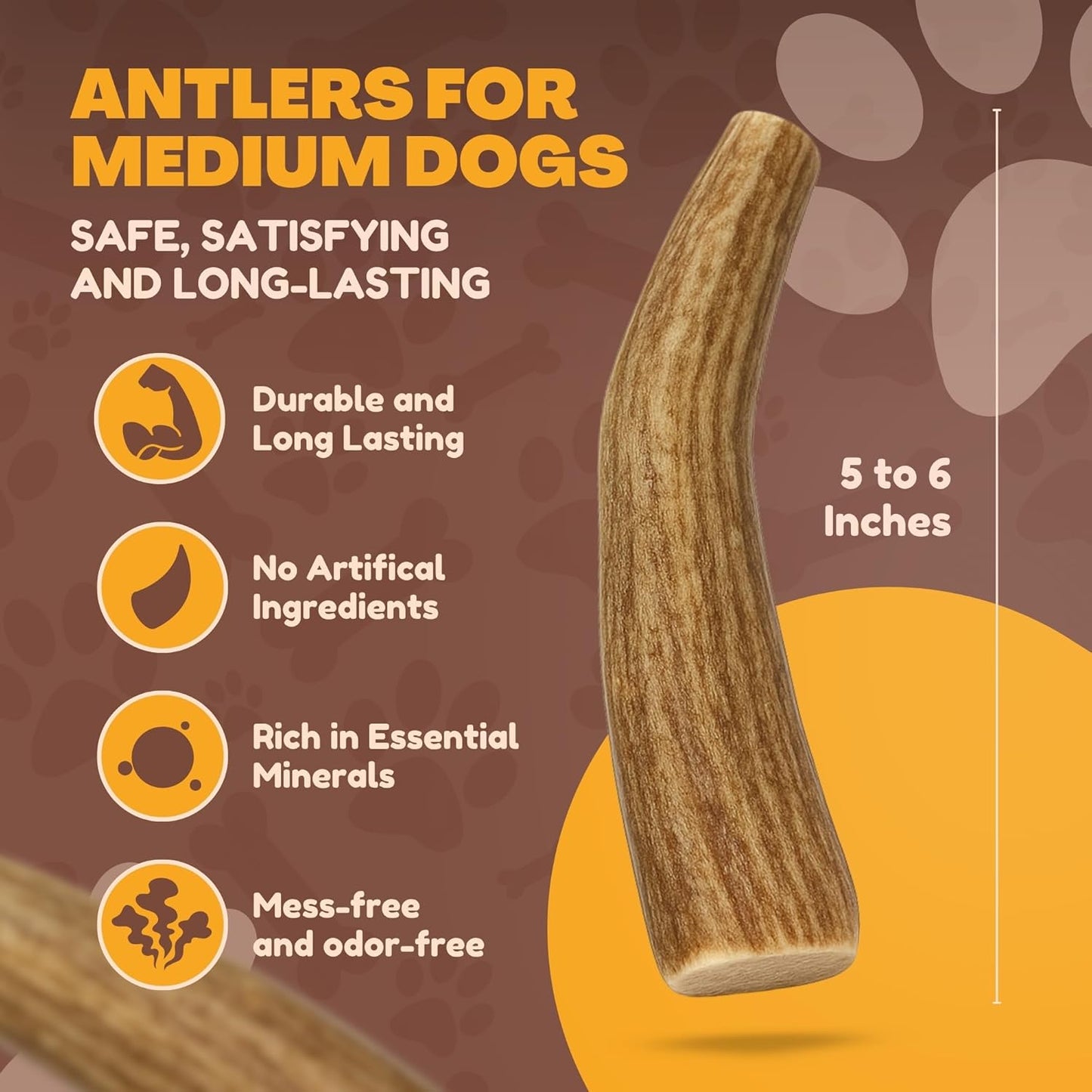 Whitetail Naturals Deer Antler Dog Chews (3 Pack Medium) - Long Lasting, Naturally Shed Whole Antlers for Dogs - Long Lasting Dog Bones for Power Chewers