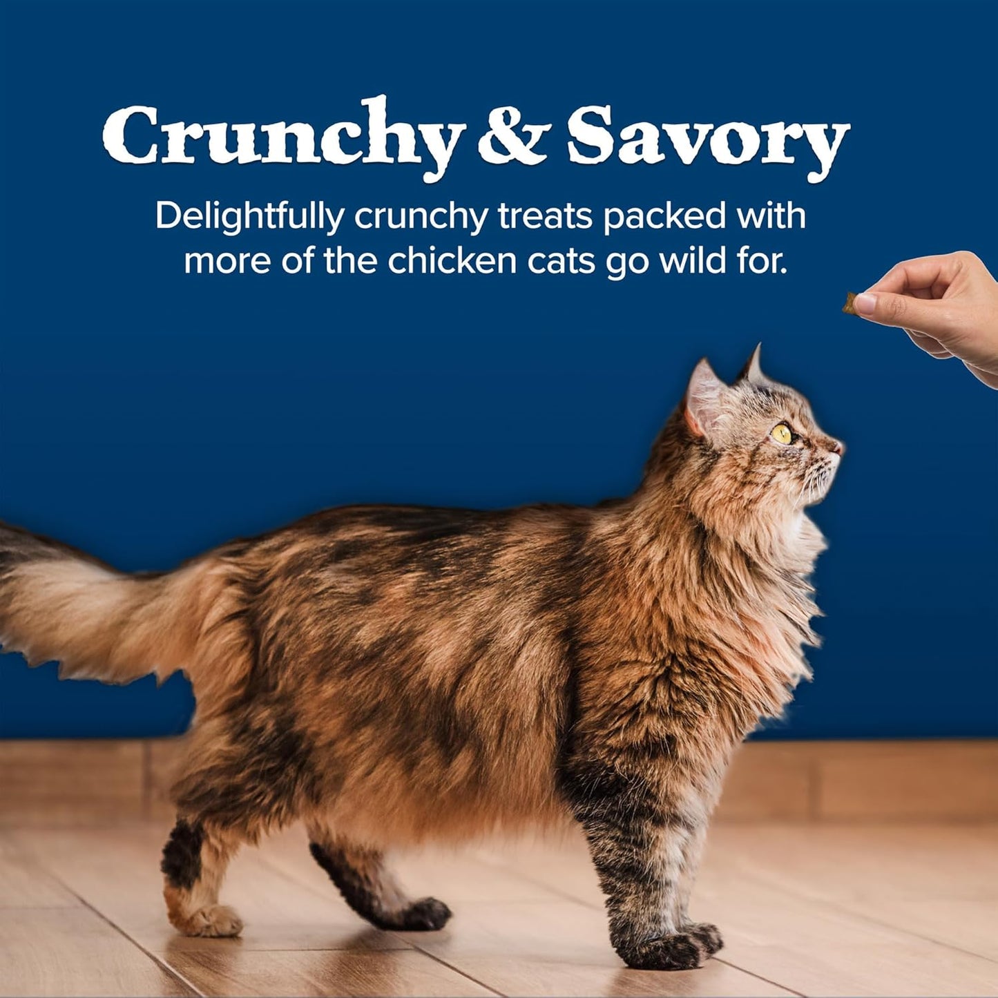 Blue Buffalo Wilderness Crunchy Cat Treats, Made with Natural Ingredients, Tasty Salmon Flavor, 12-Oz Tub